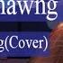 Bzi Tochhawng Zan Tawnmang Cover