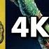 Gremlins 4K UltraHD Blu Ray Review