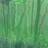 Beautiful Japanese Music Kitsune Village