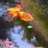 Dota 2 Gameplay Dota 2 Phoenix Gameplay Guide