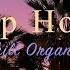 Deep House 2023 Spring Summer Chill Organic Mix House Chill Mix Instrumental