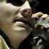 My Chemical Romance The End Dead Live From The Black Parade Is Dead