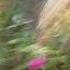 Kirsty Hawkshaw Leafy Lane Original Mix 1998