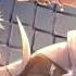 Nightcore Hey Brother Higher Pitched Sped Up