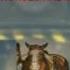 Scooter Call Me Mañana Heavy Horses Radio