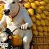 Beautiful Story Of Hardworking Cow And Monkey Shorts Animals Trendingshorts Ytshorts Viral Ai