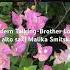 Modern Talking Brother Louie On Alto Sax Malika Smitskaya