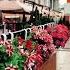Walking In RAIN In MOSCOW REAL Atmosphere In Russia Binaural Rain Walk