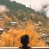 Retreat Beautiful Chill Music Mix