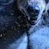 Shape Shifters AMV I M Dangerous